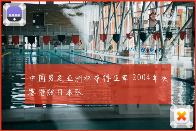 中国男足亚洲杯夺得亚军 2004年决赛惜败日本队