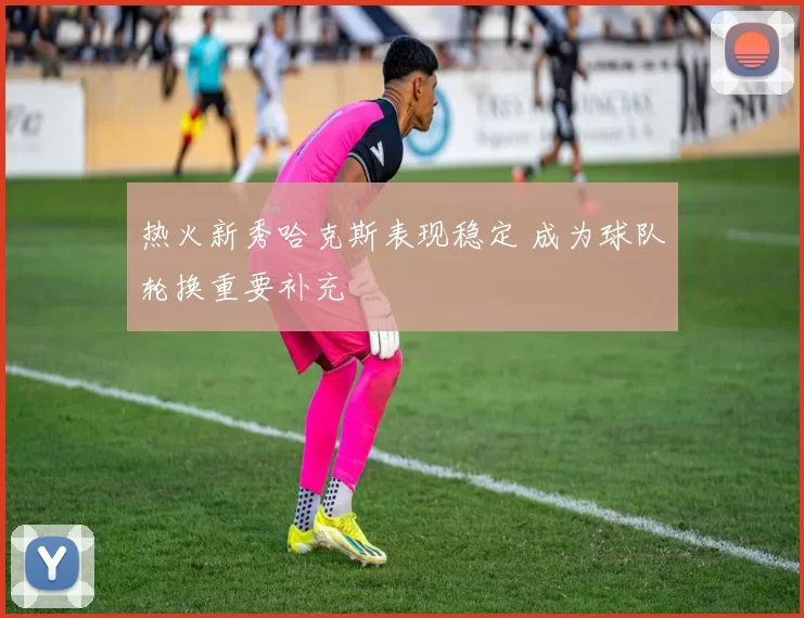 热火新秀哈克斯表现稳定 成为球队轮换重要补充