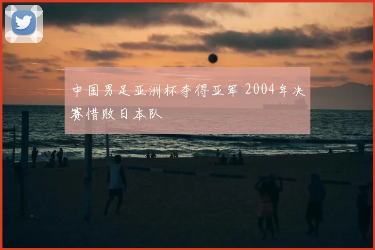 中国男足亚洲杯夺得亚军 2004年决赛惜败日本队